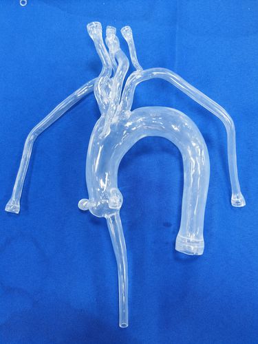 心臓解剖模型 - XX001D1-03 - Trando 3D Medical Technology - 低侵襲手術 / 医療訓練用 / 透明
