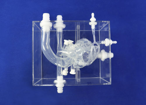 心臓の解剖模型 - XXK002DJ - Trando 3D Medical Technology - 動脈の / 医療訓練用 / 男性用