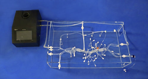 腹部解剖模型 - FBS003 - Trando 3D Medical Technology - 低侵襲手術 / 医療訓練用 / 透明