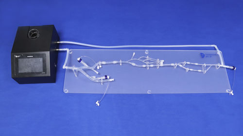 下肢用解剖模型 - XXD003 - Trando 3D Medical Technology - 低侵襲手術 / 医療訓練用 / フレキシブル