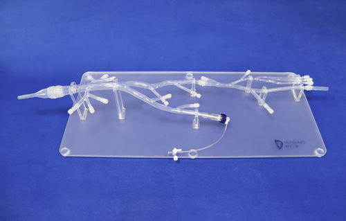 下肢用解剖模型 - XZS001-1 - Trando 3D Medical Technology - 低侵襲手術 / 医療訓練用 / 透明