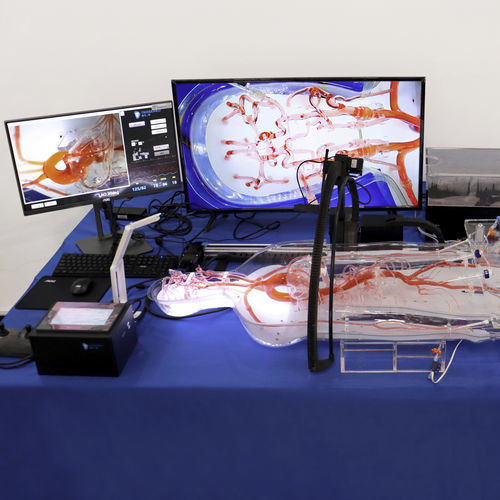 胃カメラシミュレーター - EVT011 - Trando 3D Medical Technology - 医療訓練用 / 経皮的冠動脈インターベンション / 経皮的橈骨動脈カニューレ用