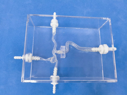 頸動脈の解剖模型 - Trando 3D Medical Technology - 血管の / 神経外科 / 医療訓練用