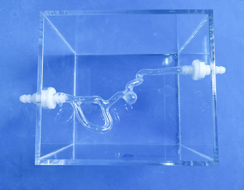 頸動脈の解剖模型 - Trando 3D Medical Technology - 血管の / 神経外科 / 医療訓練用