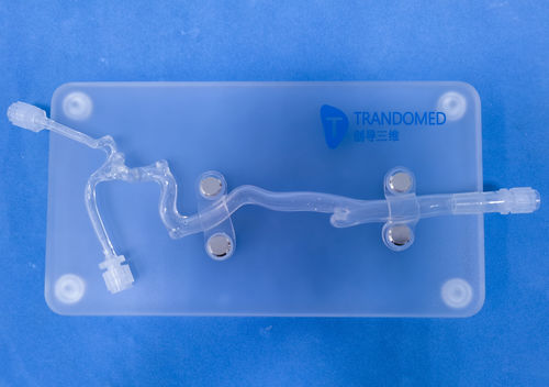 血管の血管模型 - JYX001-5 - Trando 3D Medical Technology - 脳 / 頭蓋内 / 血管手術用