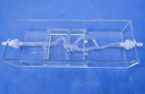 動脈の血管模型 - SJK004D - Trando 3D Medical Technology - 血管の / 医療訓練用 / 透明