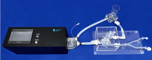 心臓の解剖模型 - XXD006 - Trando 3D Medical Technology - 大静脈の / 静脈の / 僧帽弁の