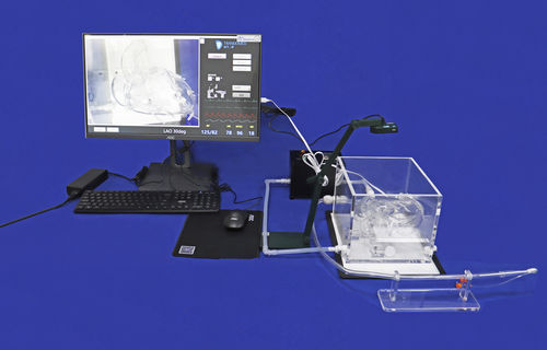 医療訓練用シミュレーター - XX002D - Trando 3D Medical Technology - カテーテル / 冠動脈バイパス / 心臓手術用