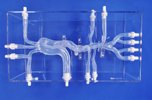 血管の血管模型 - XXK004D - Trando 3D Medical Technology - 低侵襲手術 / 医療訓練用 / 解剖