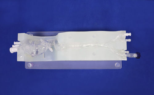 心臓血管模型 - XXD014 - Trando 3D Medical Technology - 血管の / 低侵襲手術 / 実習用