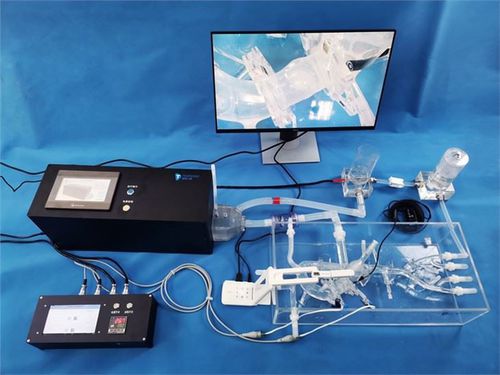 医療訓練用シミュレーター - XXK005D-1 - Trando 3D Medical Technology - 血管手術用 / 動脈の / 大動脈弁の
