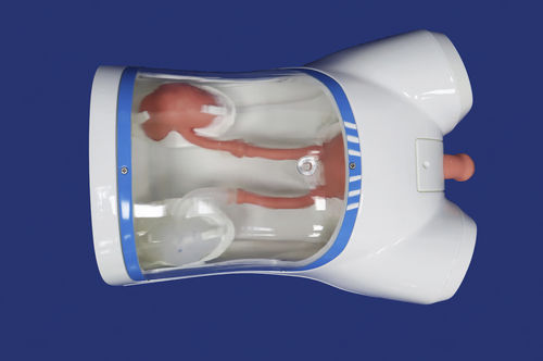 骨盤の解剖模型 - MN-02 - Trando 3D Medical Technology - 腎臓の / 膀胱の / 尿管の