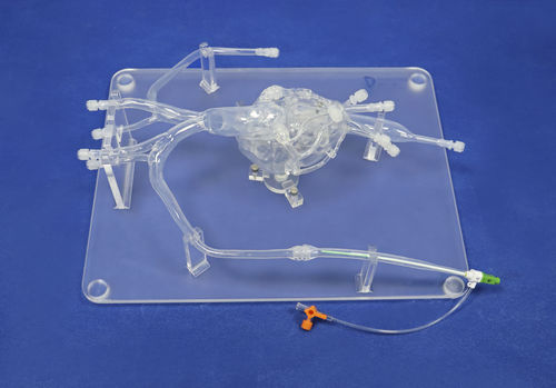 大腿動脈の血管模型 - XXD010 - Trando 3D Medical Technology - 冠動脈の / 腹部大動脈 / 回腸動脈