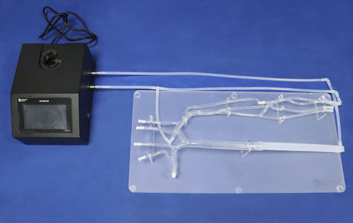 静脈の血管模型 - SZ001 - Trando 3D Medical Technology - 血管の / 腕の / 血管手術用