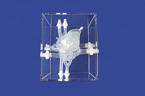 心臓の血管模型 - XXK001DJ-03 - Trando 3D Medical Technology - 心臓手術用 / 医療訓練用 / 透明