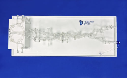 動脈の血管模型 - SJ001D-016 - Trando 3D Medical Technology - 血管の / 腹部 / 医療訓練用
