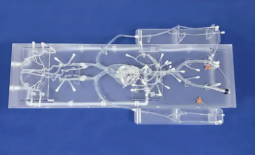 セーフティテクニック 心臓手術アトラス セーフティテクニック心臓手術アトラス セーフティテクニック心臓手術