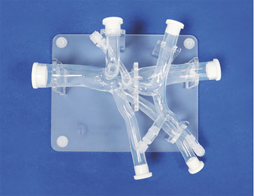 腹部血管模型 - FBD021 - Trando 3D Medical Technology - 血管の / 医療訓練用 / 透明