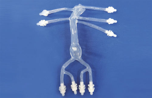 腹部血管模型 - FBD027 - Trando 3D Medical Technology - 血管の / 医療訓練用 / 透明