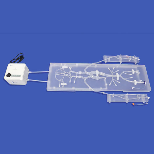 頸動脈の血管模型 - SJ001D-011 - Trando 3D Medical Technology - 大脳動脈輪の / 神経の / 頭蓋内