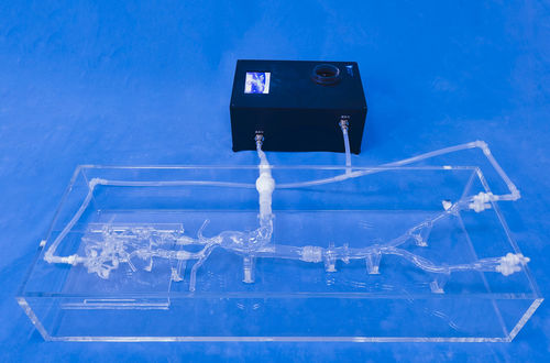 頭蓋内血管模型 - SJX009 - Trando 3D Medical Technology - 血管の / 動脈の / 低侵襲手術