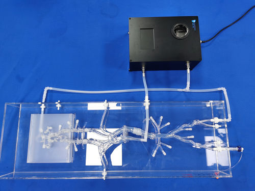 頭蓋内血管模型 - SJX006-3 - Trando 3D Medical Technology - 血管の / 腹部 / 低侵襲手術