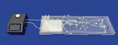 大脳動脈輪の血管模型 - SJ001D-013 - Trando 3D Medical Technology - 神経の / 頭蓋内 / 神経内科