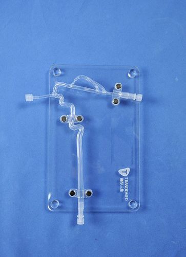 動脈の解剖模型 - SJJ004D - Trando 3D Medical Technology - 頸動脈の / 血管の / 神経外科