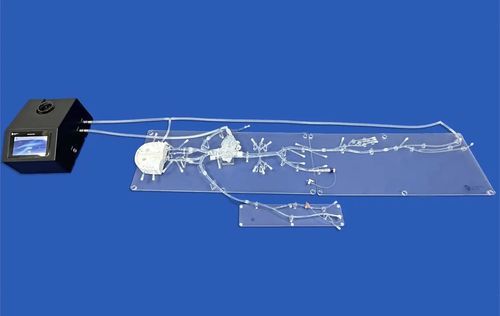 心臓の血管模型 - FA009D - Trando 3D Medical Technology - 腹部 / 大腿動脈の / 頸動脈の