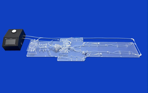 心臓の血管模型 - FA010D - Trando 3D Medical Technology - 腹部 / 大腿動脈の / 頸動脈の