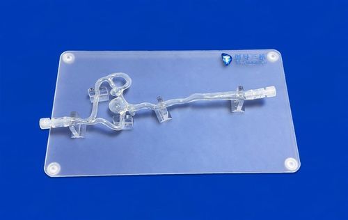前大脳動脈の血管模型 - SJV002 - Trando 3D Medical Technology - 中大脳動脈の / 右内頚動脈の / 左内頚動脈の