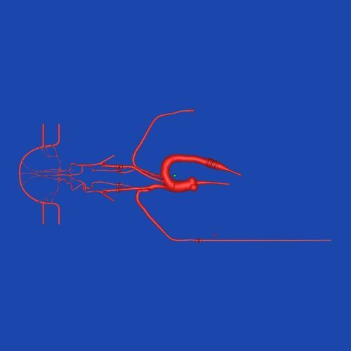 全身用血管模型 - SJ001D-019 - Trando 3D Medical Technology - 血管の / 医療訓練用 / 透明
