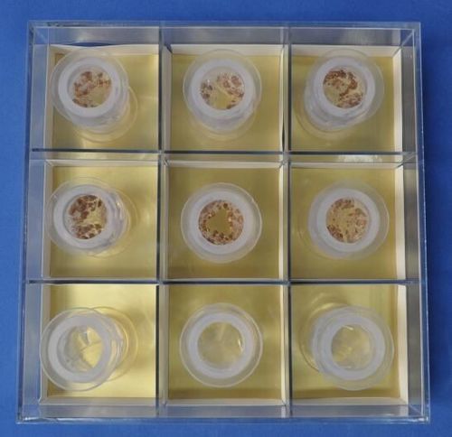 大動脈弁の解剖模型 - XX009D - Trando 3D Medical Technology - 実習用 / デモ用 / 医療訓練用
