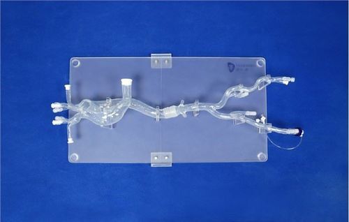 大腿動脈の血管模型 - XXD019 - Trando 3D Medical Technology - 胸部大動脈の / 回腸動脈 / 腹部大動脈