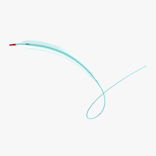 拡張カテーテル - Saule&trade; - Princeton Medical Scientific - 冠動脈 / バルーン / 先端が非外傷性