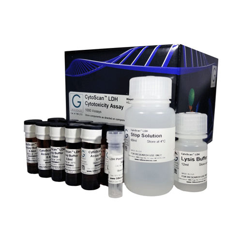 細胞生存性検査キット - CytoScan™ - G-BIOSCIENCES - 細胞毒性 / 乳酸デヒドロゲナーゼ / セル