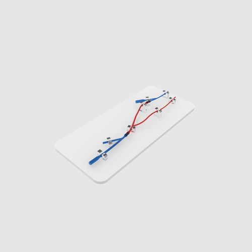 橈骨動脈血管模型 - PLWZXG001 - Shanghai Preclinic Medtech - 低侵襲手術 / 血管アクセス用 / 医療訓練用