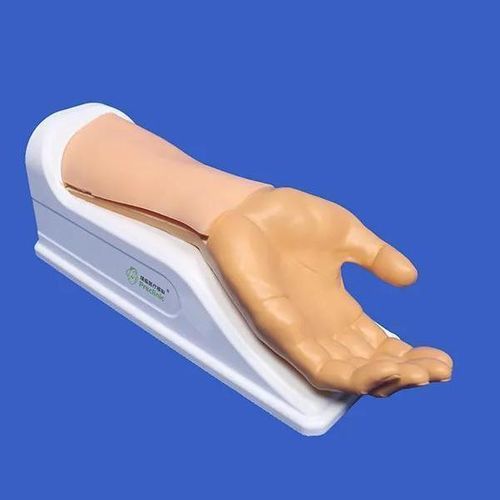 動脈の血管模型 - PLWZXG007 - Shanghai Preclinic Medtech - 血管の / 橈骨動脈 / 動脈穿刺
