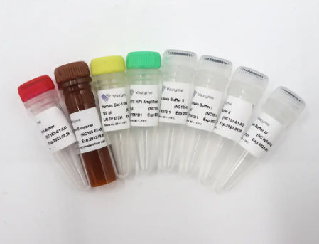 溶液試薬キット - VAHTS - Nanjing Vazyme Medical Technology Co.,Ltd - 交配 / 掃除用