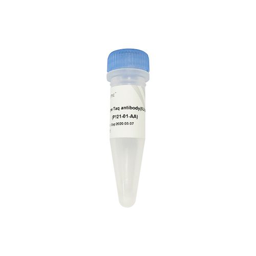 モノクローナル抗体試薬 - P121 - Nanjing Vazyme Medical Technology Co.,Ltd - 生物分子学用
