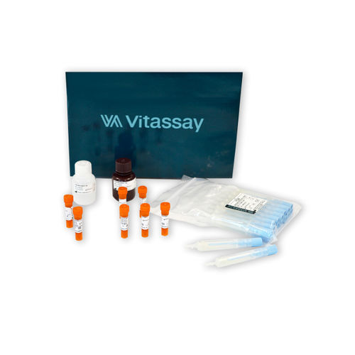 FOB検査キット - VITASSAY HEALTHCARE S.L. - 大腸癌 / 腫瘍学 / ヘモグロビン