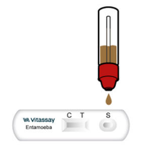 エントアメーバ迅速検査キット - VITASSAY HEALTHCARE S.L. - 感染病用 / 抗原 / 大便