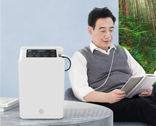 医療用酸素濃縮器 - Guangzhou Sichuang Hongyi Electronic Technology Co., Ltd - 携帯型 / PSA式 / 連続フロー