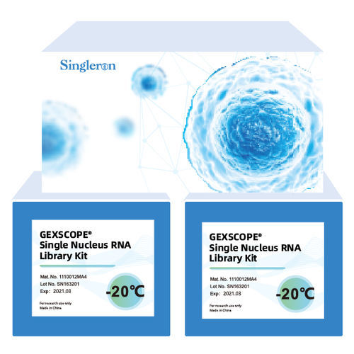 溶液試薬キット - 1185011 - Singleron Biotechnologies - 組織用 / NGS
