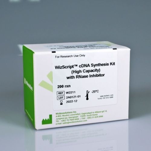CDNA合成用試薬キット - WizScript™  - Wizbiosolutions Inc. - 組換え抗原 / RT-PCR / RNA分析