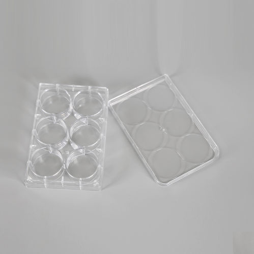研究所用マイクロプレート - YCP-6-FB - Kunshan Yongyue Medical Technology - 細胞培養用 / 6ウェル
