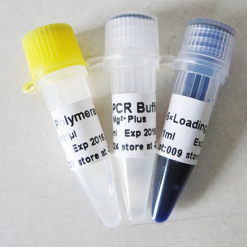 緩衝液試薬 - P1011 500U  - Guangzhou Dongsheng Biotech Co., Ltd. - 酵素 / DNAポリメラーゼ / TaqDNAポリメラーゼ