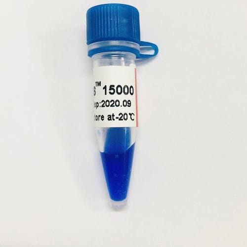 アガロースゲル試薬 - LD DS - Guangzhou Dongsheng Biotech Co., Ltd. - 染料 / 核酸 / 電気泳動