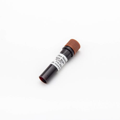 染料試薬 - DSView™ - Guangzhou Dongsheng Biotech Co., Ltd. - 核酸