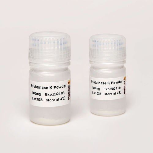 希釈バッファー試薬 - N9016 - Guangzhou Dongsheng Biotech Co., Ltd. - プロテアーゼ / プロテイナーゼK / 研究用